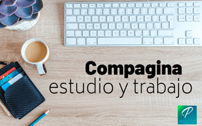 Cómo estudiar oposiciones si estás trabajando